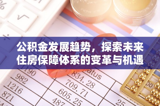 长乐公积金发展趋势，探索未来住房保障体系的变革与机遇