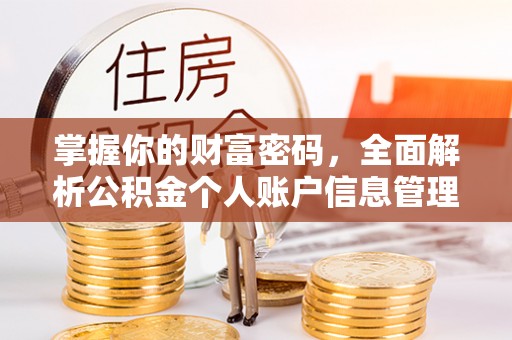 长乐掌握你的财富密码，全面解析公积金个人账户信息管理与优化
