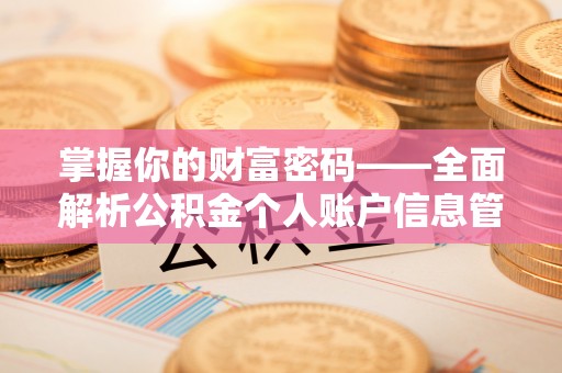 长乐掌握你的财富密码——全面解析公积金个人账户信息管理与优化