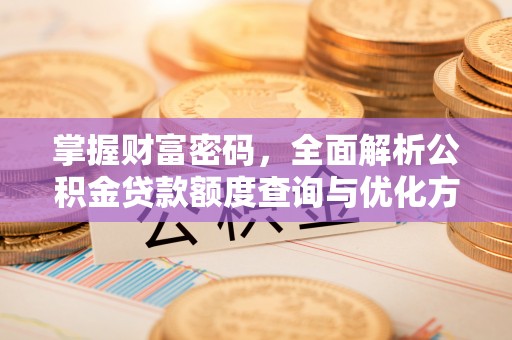 长乐掌握财富密码，全面解析公积金贷款额度查询与优化方案