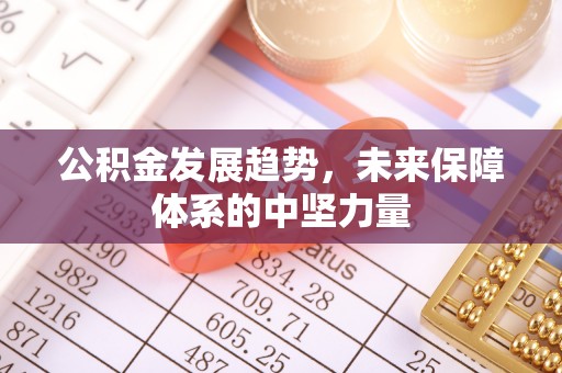 长乐公积金发展趋势，未来保障体系的中坚力量