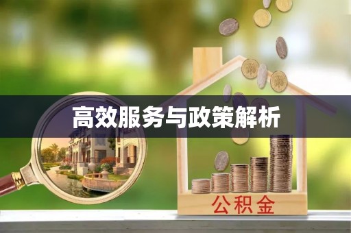 长乐高效服务与政策解析
