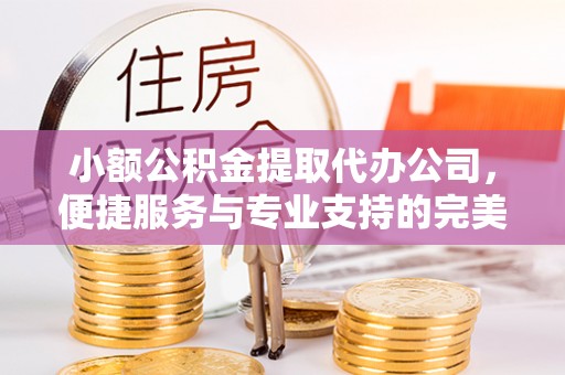 长乐小额公积金提取代办公司，便捷服务与专业支持的完美结合