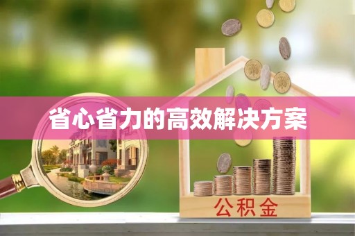 长乐省心省力的高效解决方案
