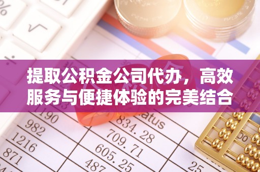 长乐提取公积金公司代办，高效服务与便捷体验的完美结合