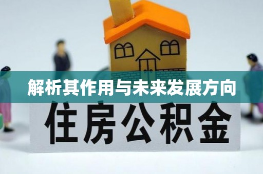 长乐解析其作用与未来发展方向