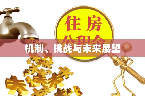 长乐机制、挑战与未来展望